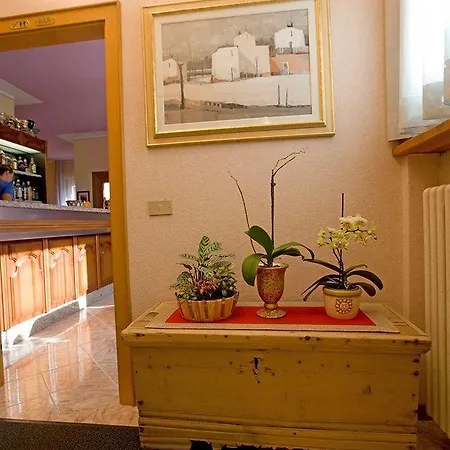 Garni Oasi 3*