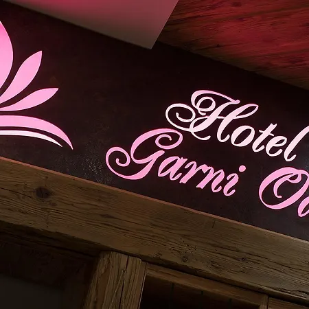 Garni Oasi Hotel 3*
